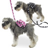 Mochila Arnés para perros pequeños | Mochila pequeña para perros al mejor precio 