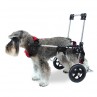 Silla de Ruedas para perros Canis Mobile ortopedia para perros al mejor precio 